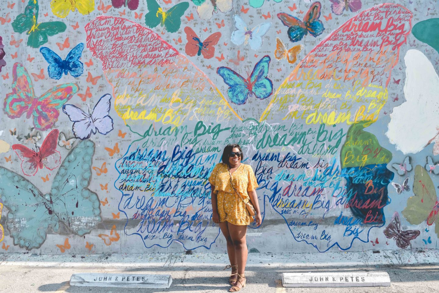 Colorful butterfly wall in Mural Alley at 7767 Melrose Ave